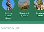 История 