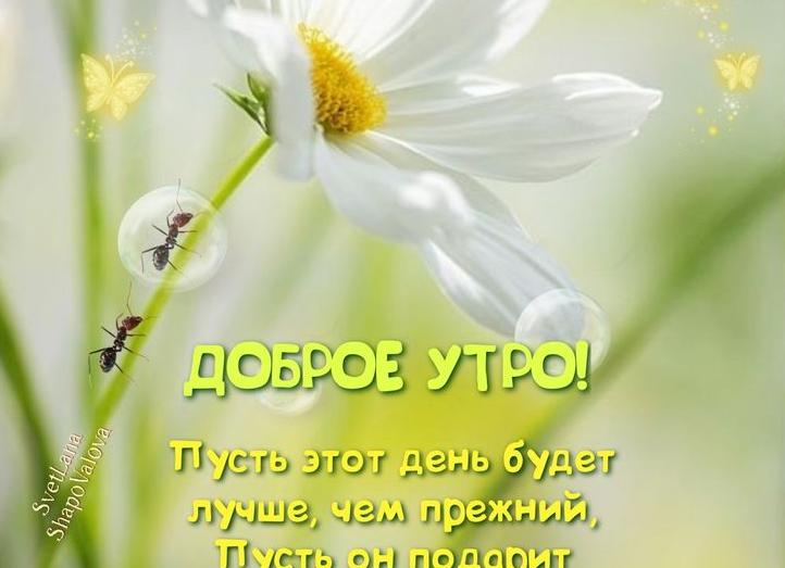 Добрые пожелания на каждый день