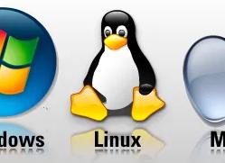 Обзор популярных операционных систем: Windows, macOS и Linux